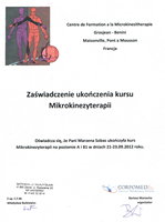 Certyfikat ukończenia kursu mikrokinezyterapii