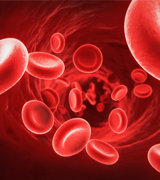 Artykuł o mikroskopowym badaniu żywej kropli krwi